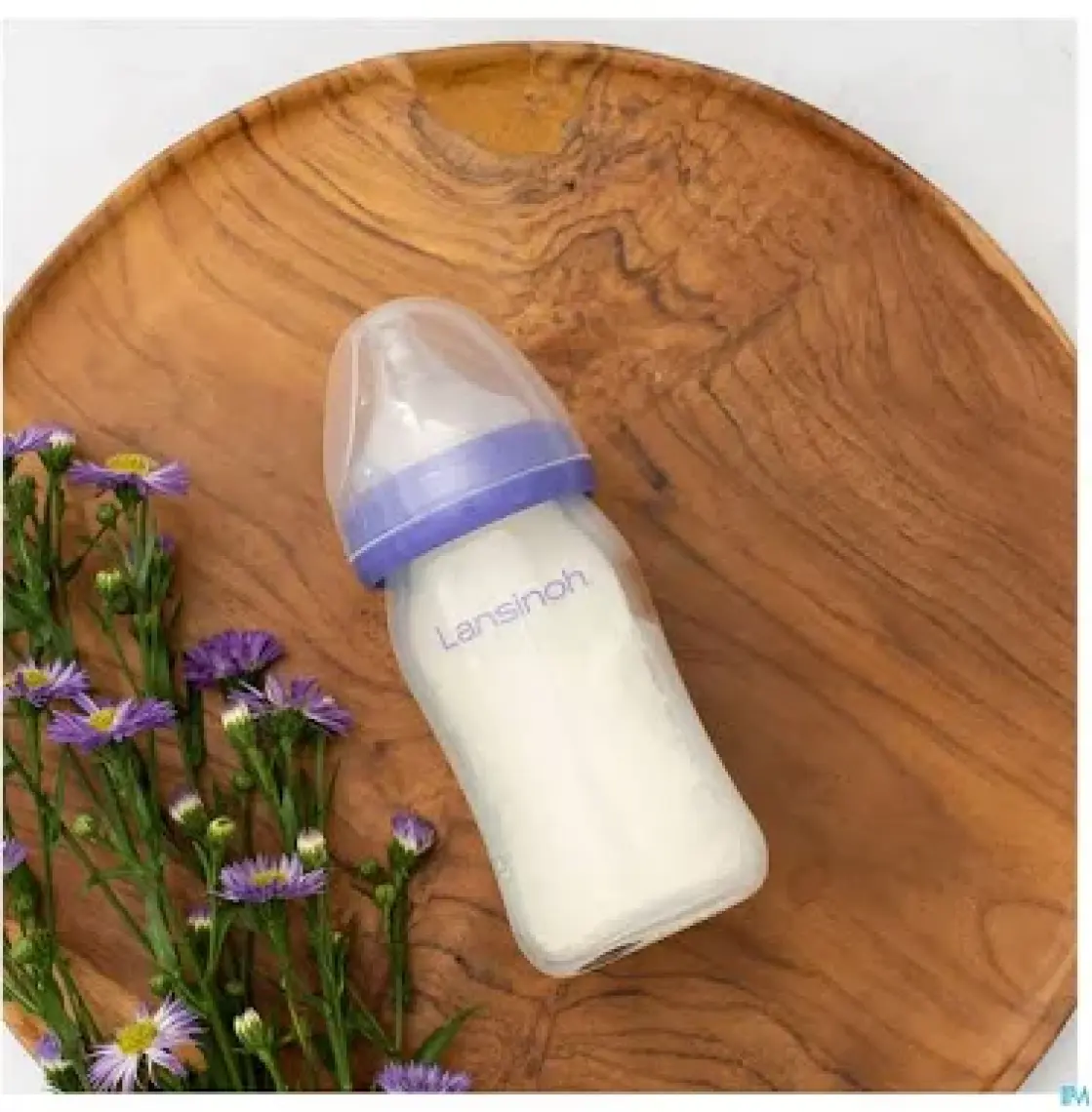 Lansinoh Cam Biberon 160 ml