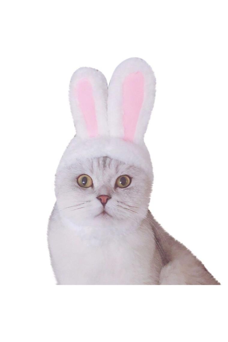 Tavşan Kulaklı Kedi Köpek Şapkası 30-34 Cm