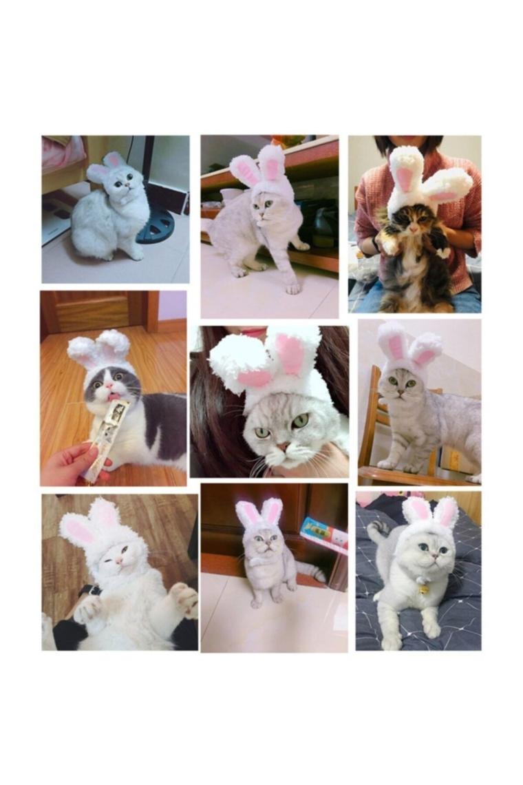 Tavşan Kulaklı Kedi Köpek Şapkası 30-34 Cm