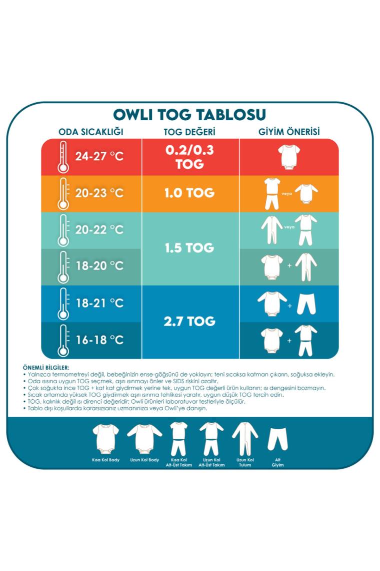Owli Kışlık Uyku Tulumu 2.7 Tog Star