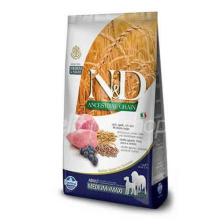 Düşük Tahıllı Kuzu Etli Yaban Mersinli Yetişkin Köpek Maması 2.5kg