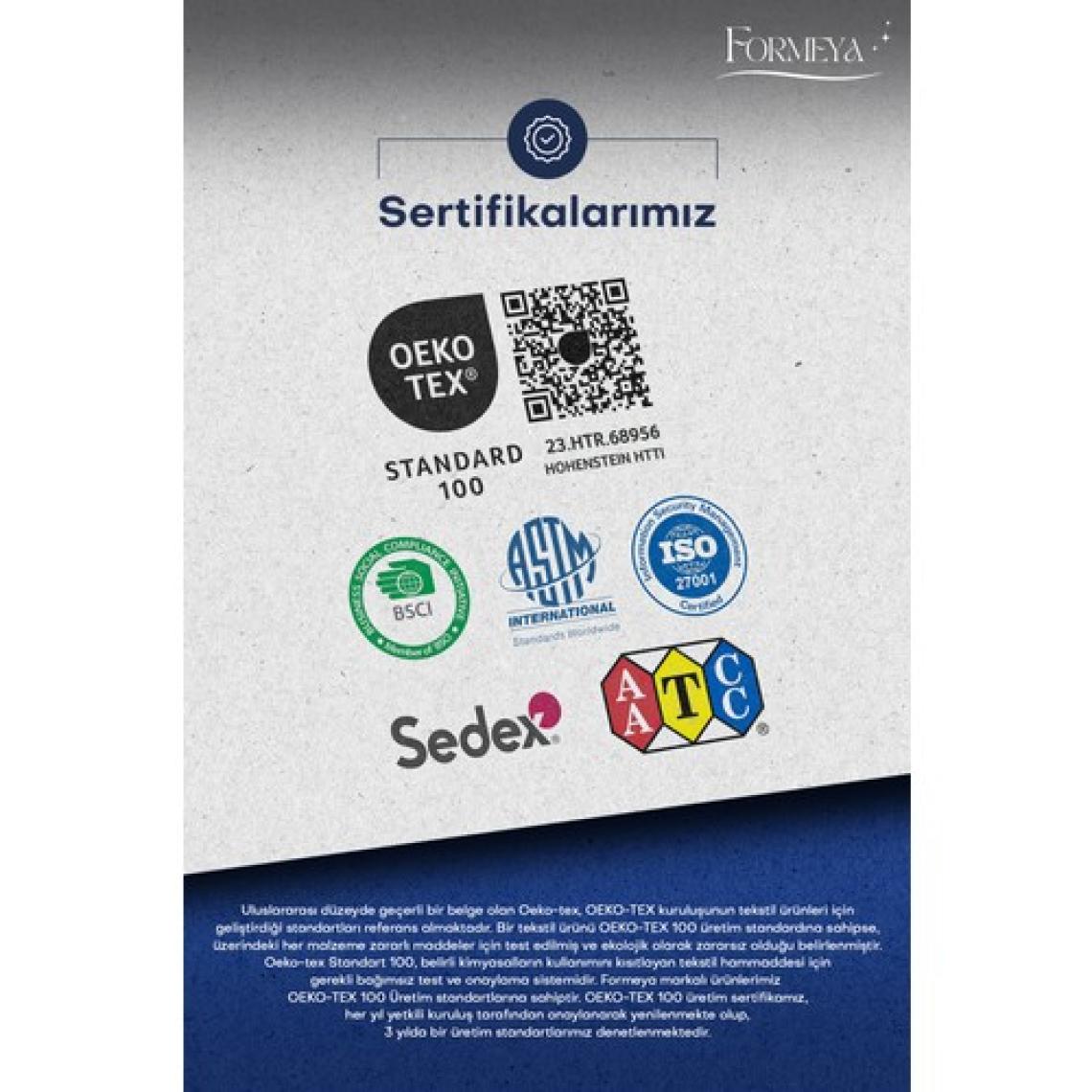 Formeya Çift Kişilik Lüx Pudra Welsoft Yorgan Çift Taraflı 195x215