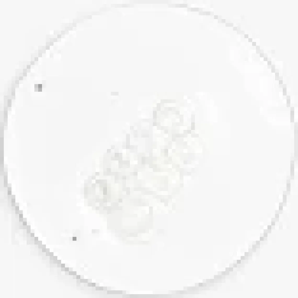 The Ordinary Hyaluronic Acid 2% + B5 60ML
