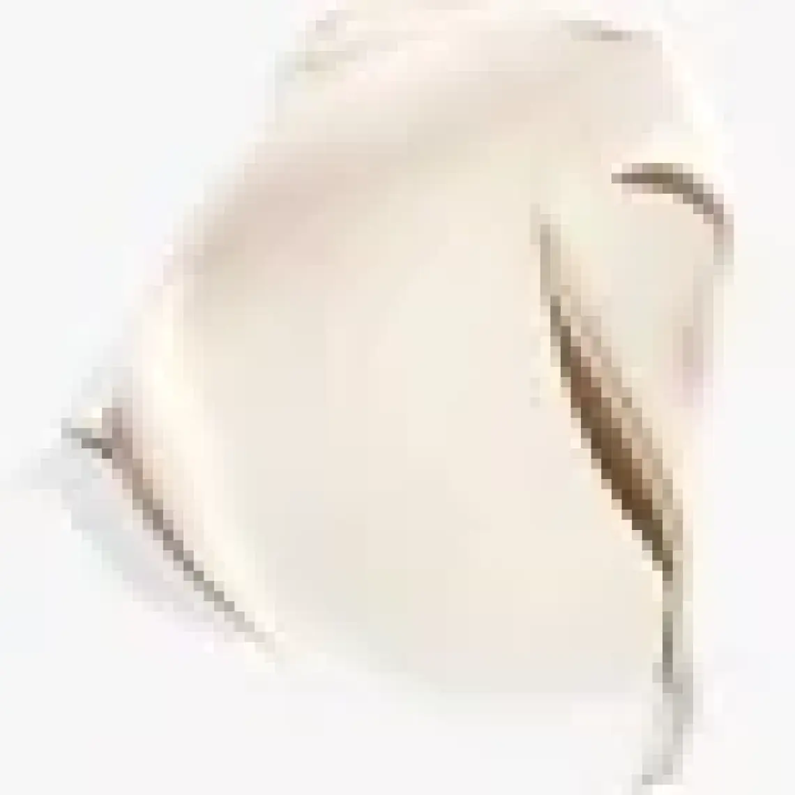 Shiseido Essential Energy Hydrating Cream 50 ml