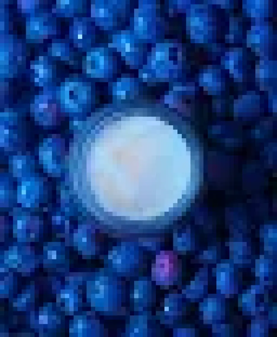 Lyn Skincare Lyn Yenileyici ve Sıkılaştırıcı Nemlendirici Krem
