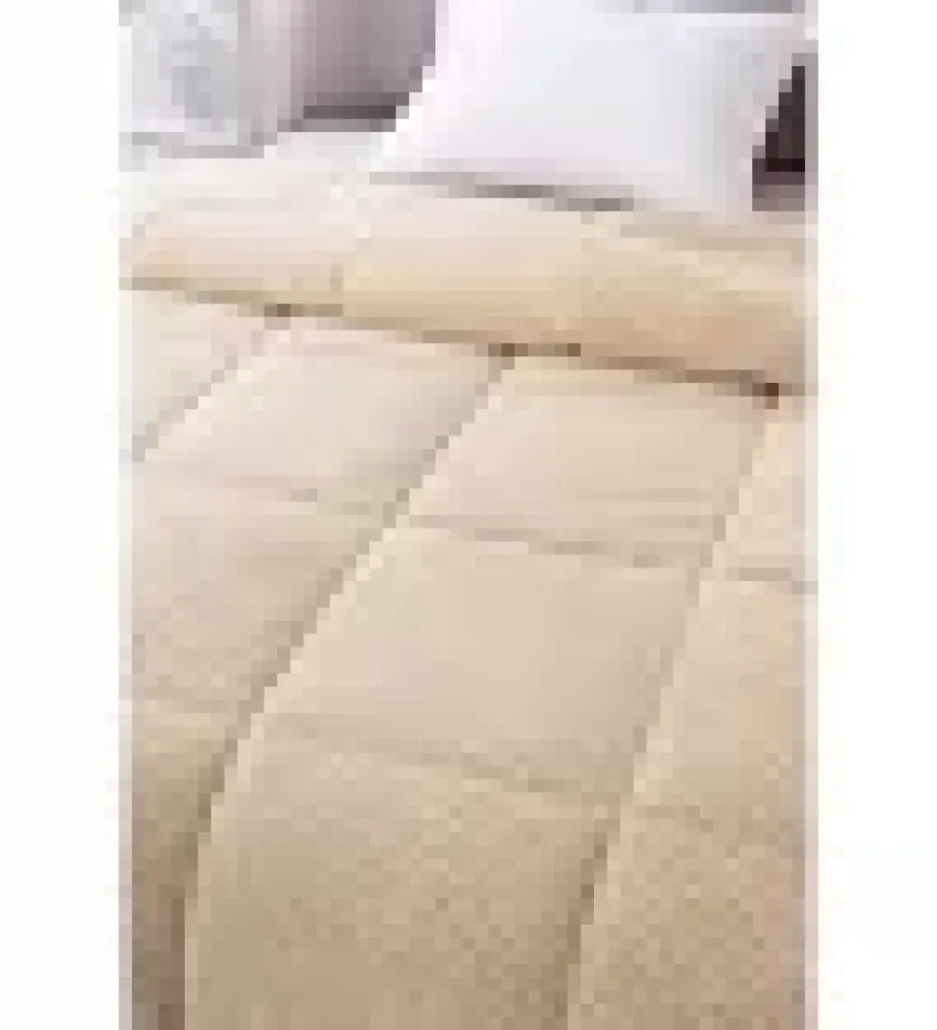 Evlen Home Collection Ultra Yumuşak Tek Kişilik Çift Taraflı Wellsoft Peluş Yorgan Yıkanabilir (Battaniye / Nevresim) 160 x 220 cm