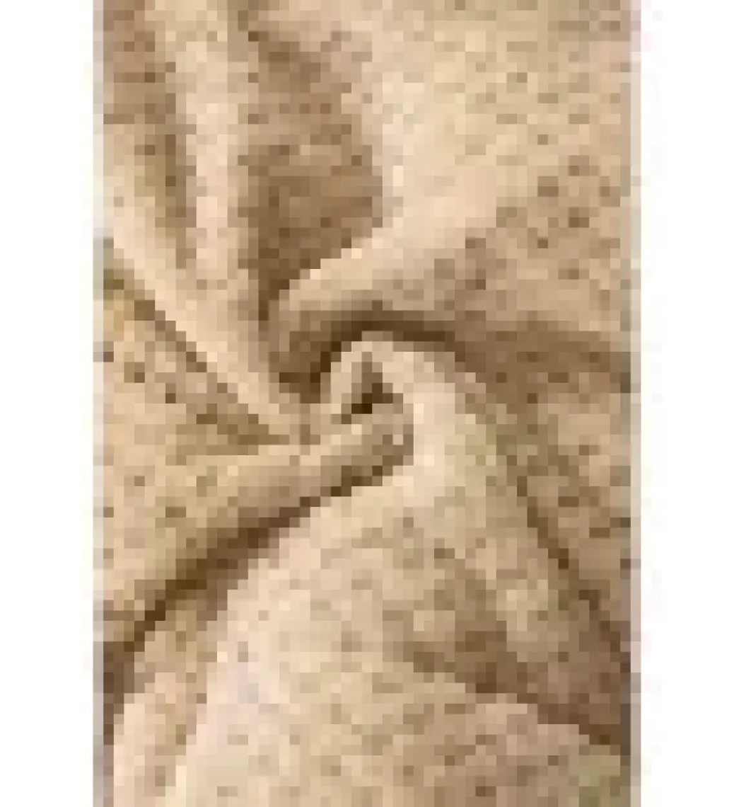 Evlen Home Collection Ultra Yumuşak Tek Kişilik Çift Taraflı Wellsoft Peluş Yorgan Yıkanabilir (Battaniye / Nevresim) 160 x 220 cm