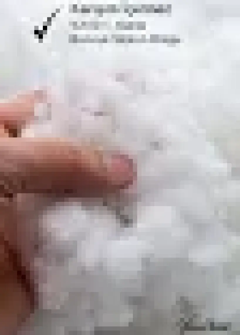 Vionel Home 4 Adet Fermuarlı Antialerjik Yastık, Boncuk Silikon, Pamuklu Kılıf, 900GR