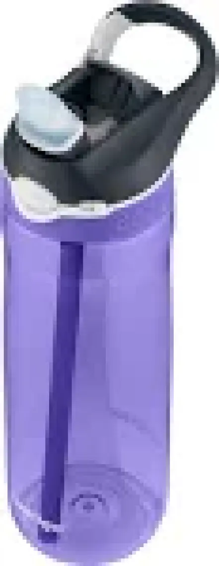 Contigo Ashland Grapevine 720 ml Mor Matara