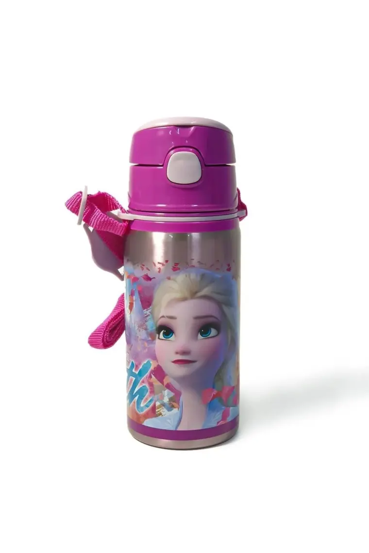 Ottonya Frozen Salto Hidden Truth Çelik Matara 500 ml 42072