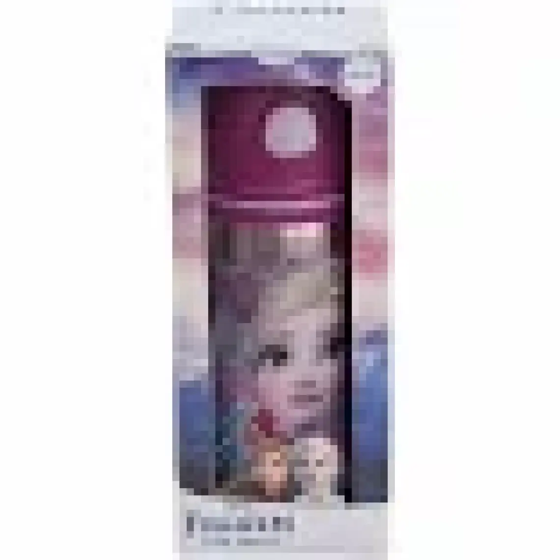 Ottonya Frozen Salto Hidden Truth Çelik Matara 500 ml 42072