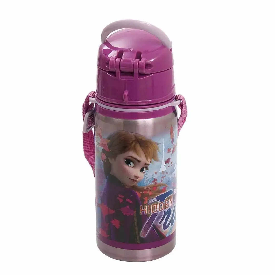 Ottonya Frozen Salto Hidden Truth Çelik Matara 500 ml 42072