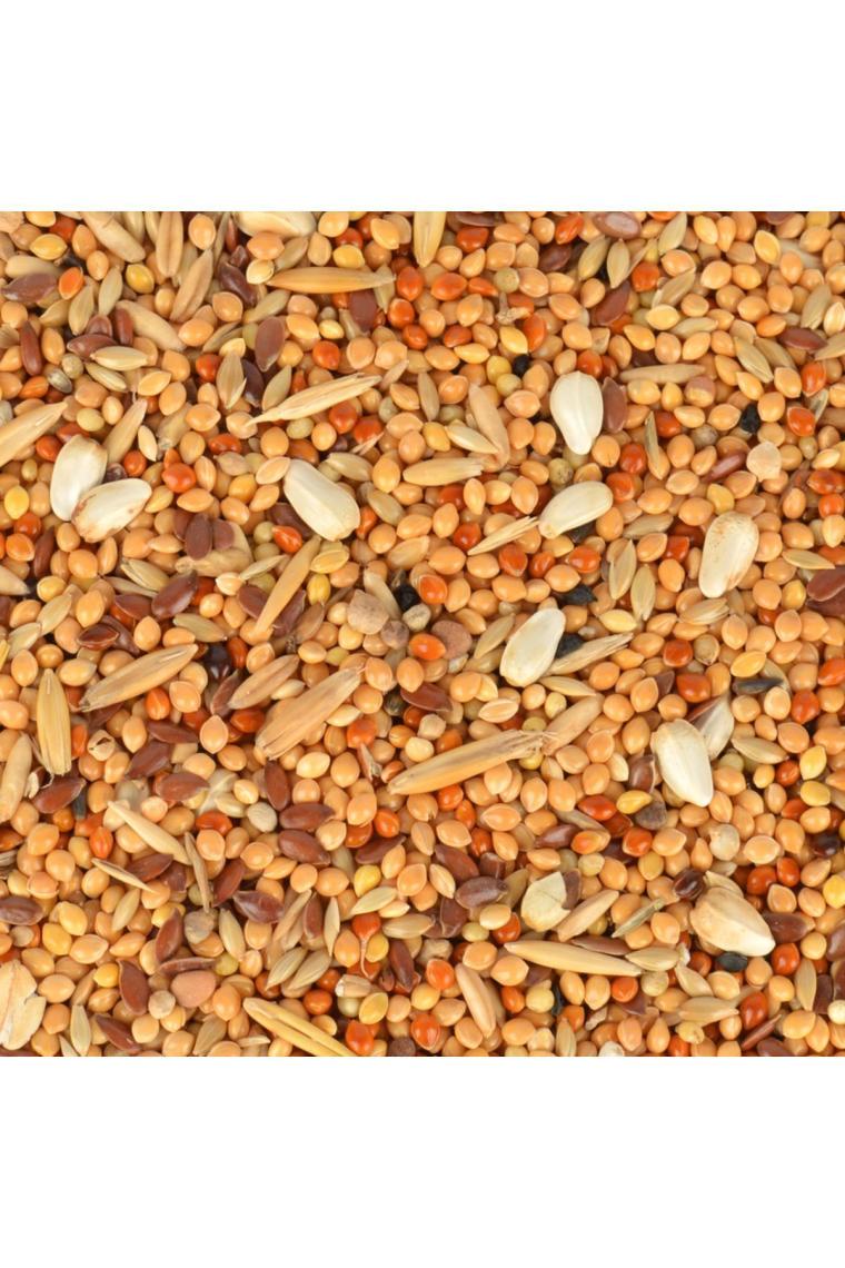 Gold Wings Kondisyon Konuşturucu Muhabbet Kuşu Yemi 150 gr