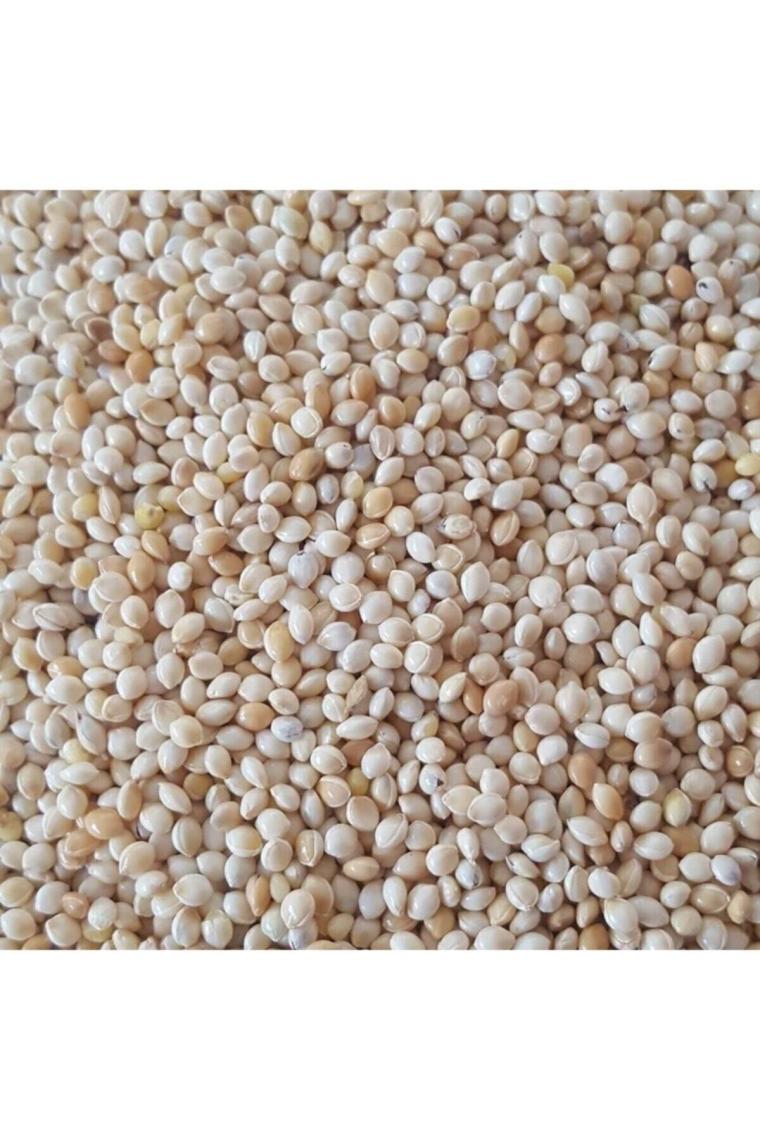 Muhabbet Kuşu Yemi Sade Ak Darı 1 Kg - Beyaz Darı Kuş Yem