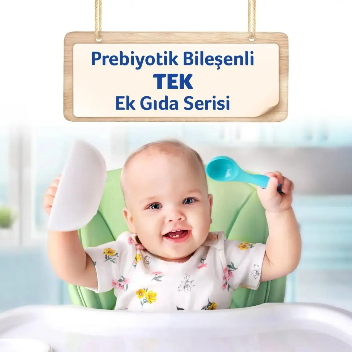 Aptamil Kaşık Sütlü Ballı Irmikli Kaşık Maması 250GR
