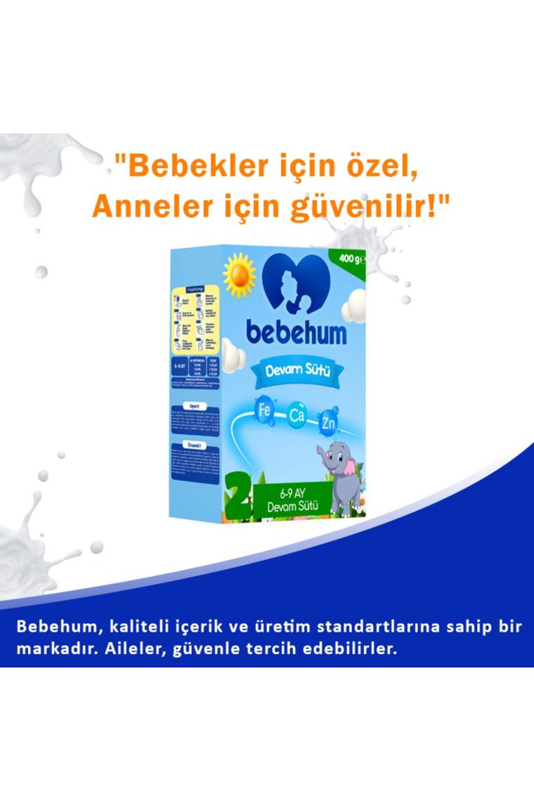 Bebehum 2 Devam Sütü 400 Gr 6-9 Ay