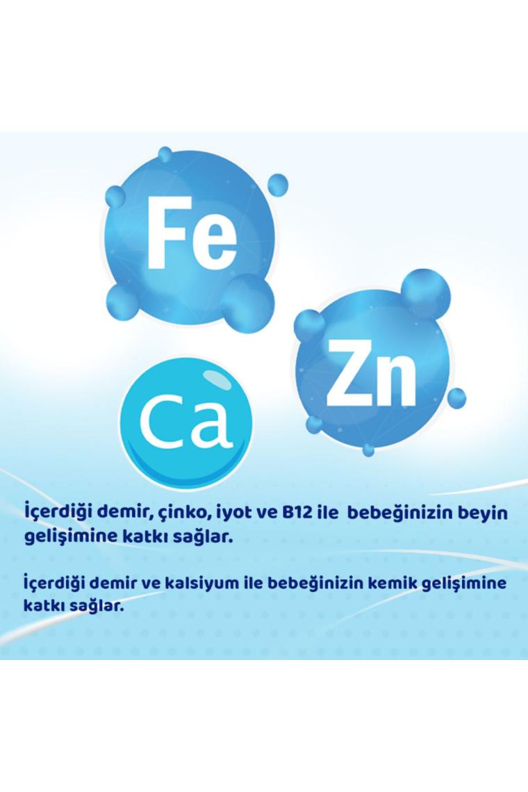 Bebehum 2 Devam Sütü 400 Gr 6-9 Ay