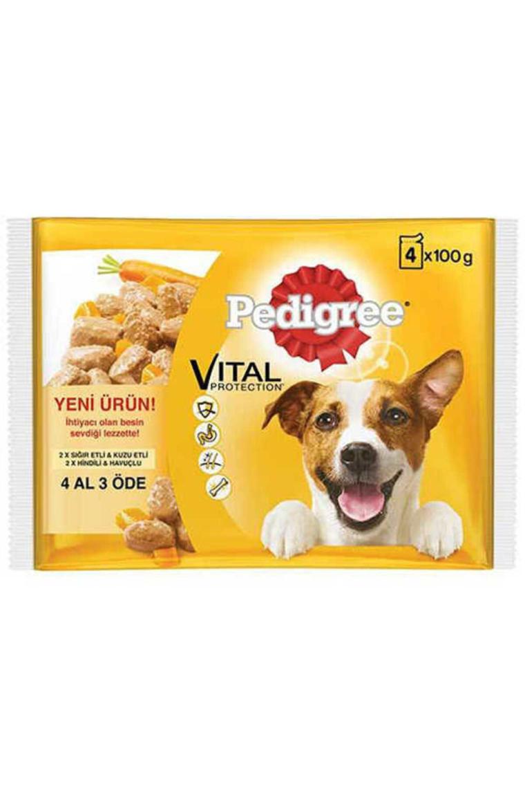 Multipack Karışık Çeşit Yetişkin Köpek Konservesi 100gr (4'LÜ)