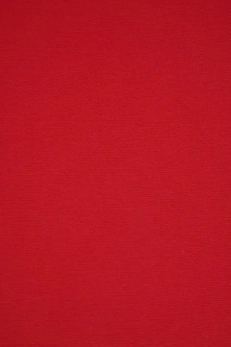 Homaks Kırmızı Sandalye Minderi 40 x 40 cm