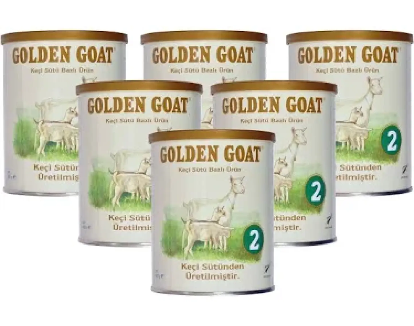 Golden Goat 2 Keçi Sütü Bazlı Devam Sütü 400 gr - 6'lı