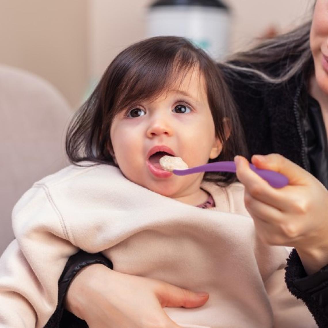 Mamajoo Ergonomik Beslenme Mama Kaşığı & Saklama Kutusu, Mor & Beyaz, İkili Set