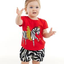 Balerin Zebra Kız Bebek T-shirt Poplin Şort Takım