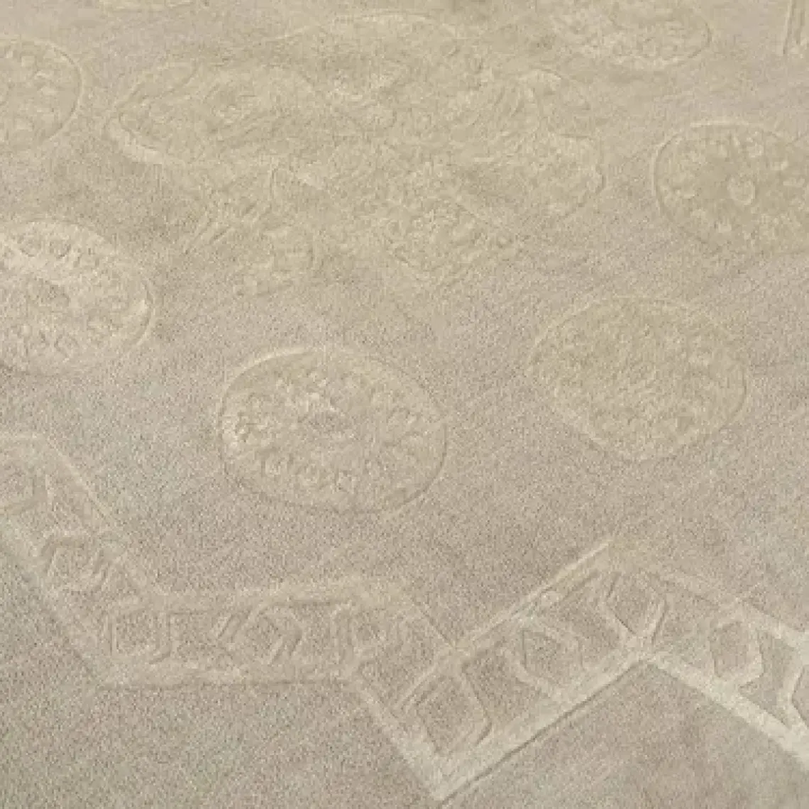 Karaca Home Elephant Vizon Çift Kişilik Soft Embosy Battaniye