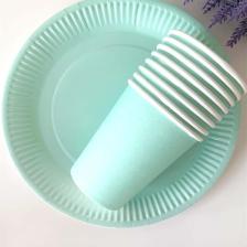 Yeşil Makaron Pastel Karton Tabak Bardak Set 8 Li
