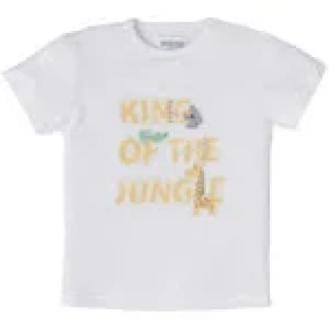 Erkek Bebek Tshirt