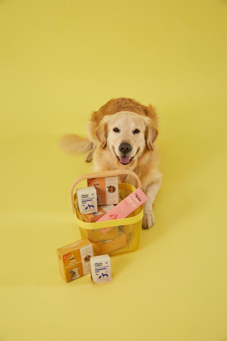 Premium Balık Yağı 200 ml (KEDİ VE KÖPEKLER İÇİN OMEGA 3 & 6 İÇERİKLİ BALIK YAĞI)