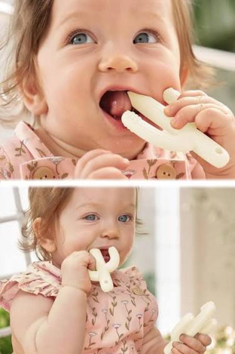 Meleni Baby Kaktüs Bebek Diş Kaşıyıcı - Bebek Diş Kaşıma Dişlik Krem
