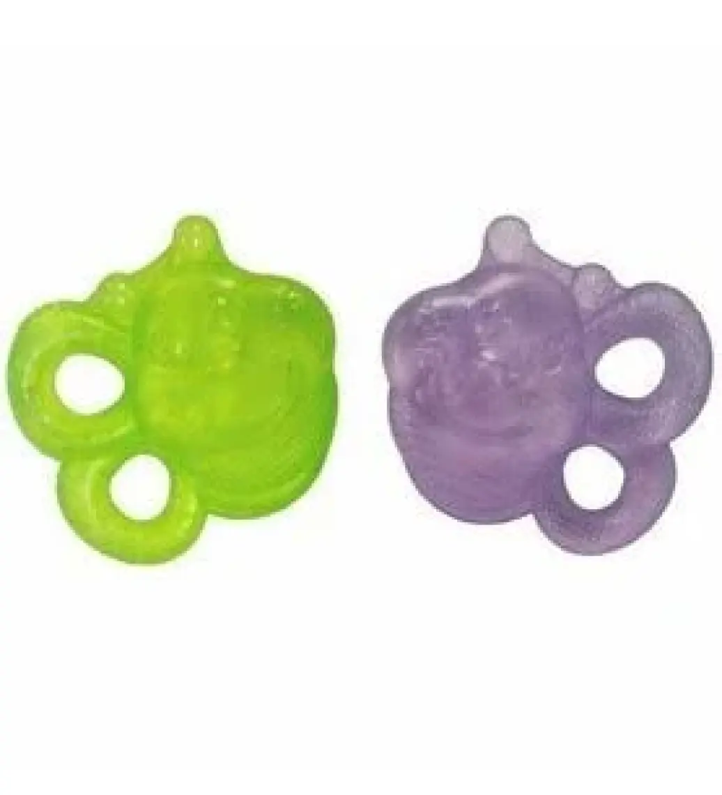Playgro Sulu Dişlik Arı 2`li