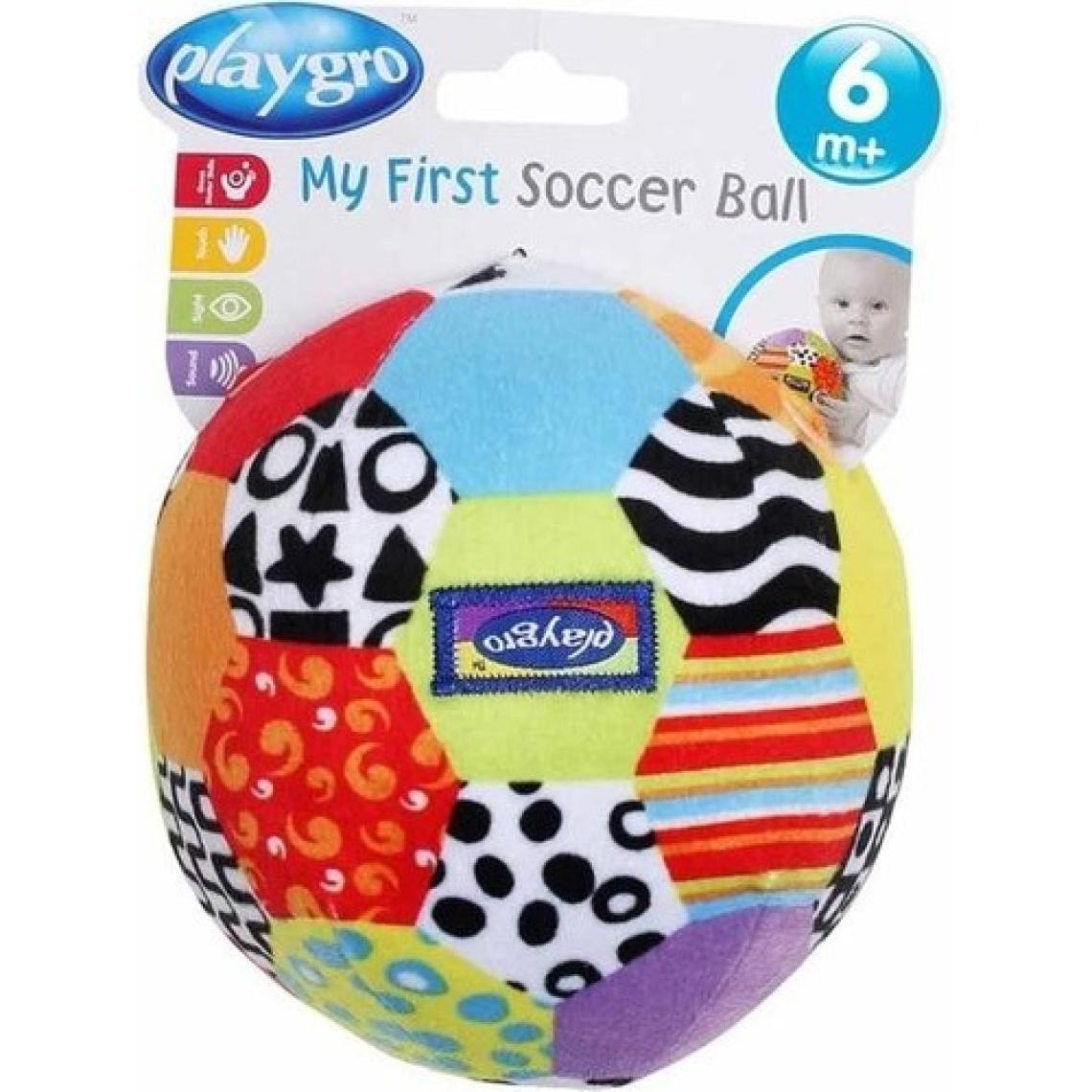 Playgro Renkli Top