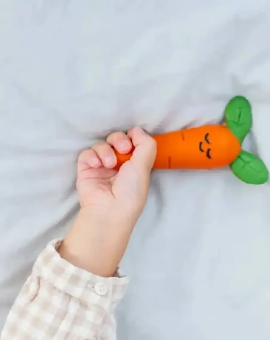 Hubble  Bebek Diş Kaşıyıcı Ve Oyuncağı (  Kauçuk) Havuç