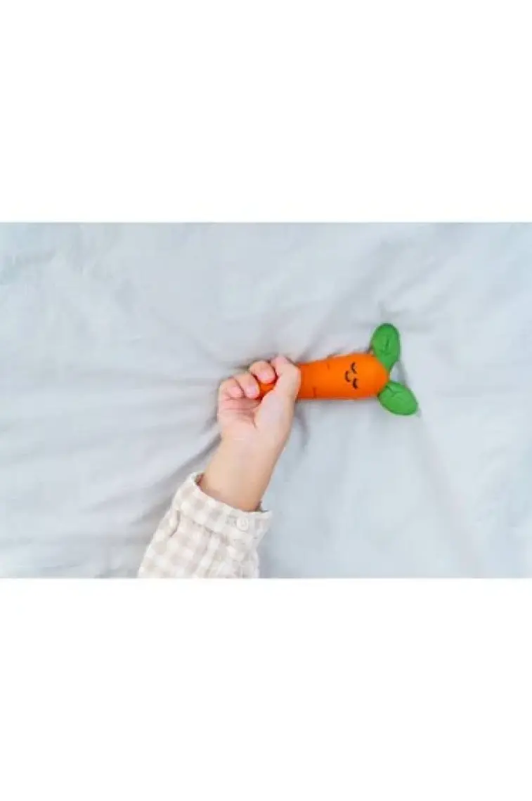 Hubble  Bebek Diş Kaşıyıcı Ve Oyuncağı (  Kauçuk) Havuç