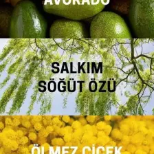 Heaven On Earth Canlandırıcı-Nemlendirici Yüz Temizleme Jeli- Aydınlatıcı, Yenileyici, Pürüzsüzleştirici Etki