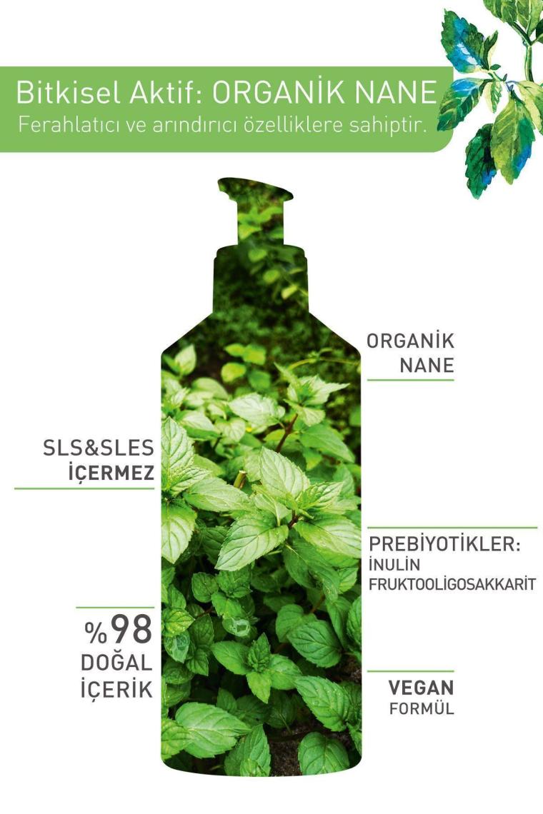 Karma Ve Yağlı Ciltler Için Pure Menthe Prebiyotik Yüz Yıkama / Temizleme Jeli-390 ml