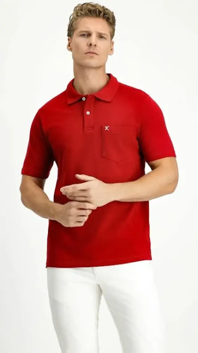 Cepli Polo Yaka Regular Fit Nakışlı Pamuk Tişört