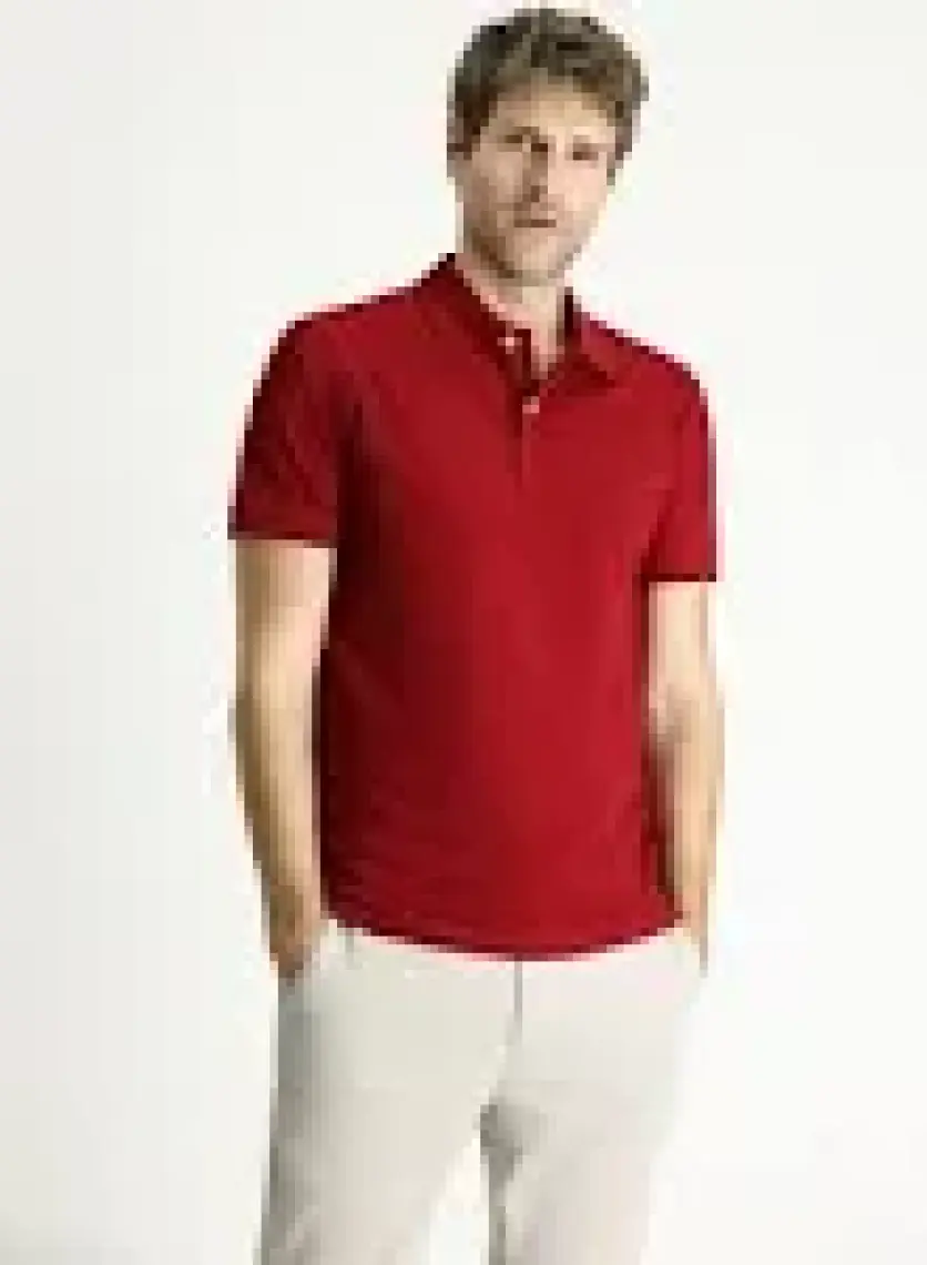 Kiğılı Polo Yaka Slim Fit Nakışlı Tişört