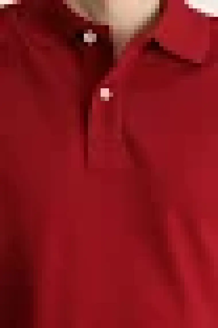 Kiğılı Polo Yaka Slim Fit Nakışlı Tişört
