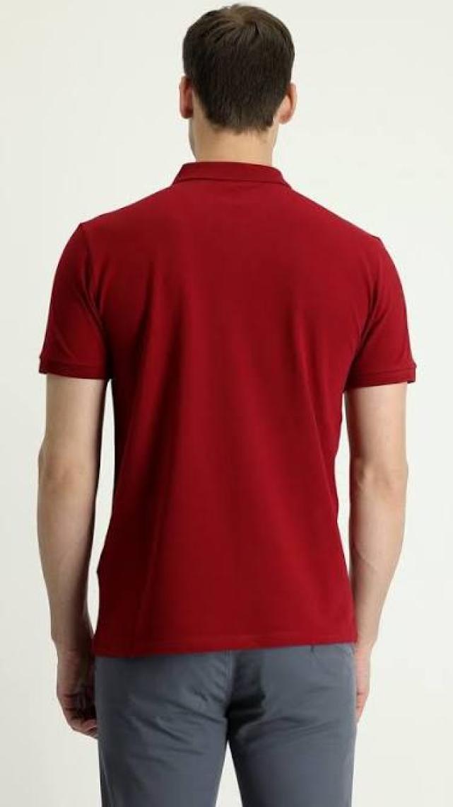 Kiğılı Polo Yaka Slim Fit Nakışlı Tişört
