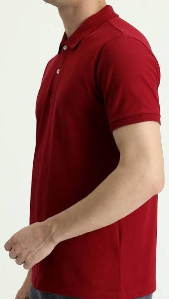 Kiğılı Polo Yaka Slim Fit Nakışlı Tişört