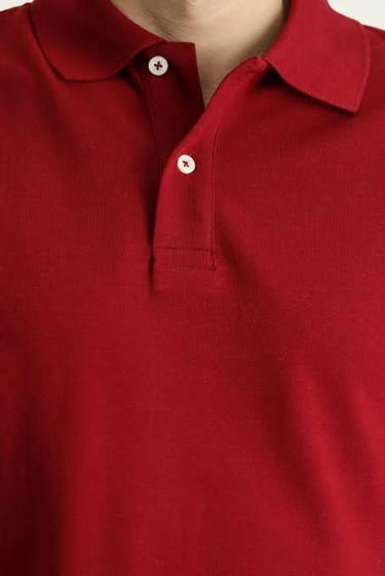 Kiğılı Polo Yaka Slim Fit Nakışlı Tişört