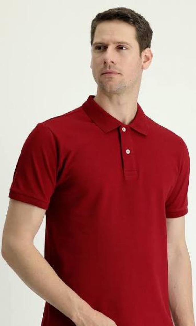 Kiğılı Polo Yaka Slim Fit Nakışlı Tişört
