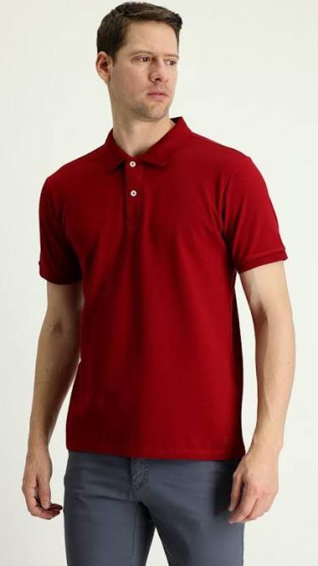 Kiğılı Polo Yaka Slim Fit Nakışlı Tişört
