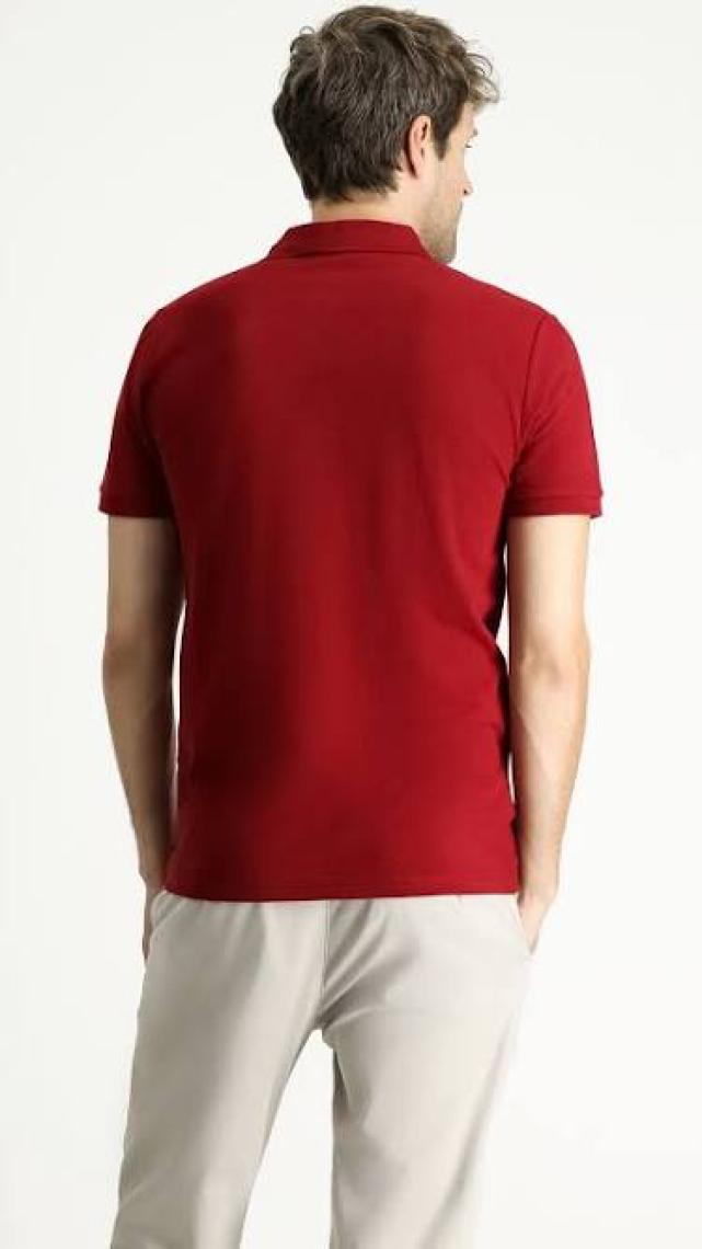 Kiğılı Polo Yaka Slim Fit Nakışlı Tişört