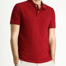Kiğılı Polo Yaka Slim Fit Nakışlı Tişört
