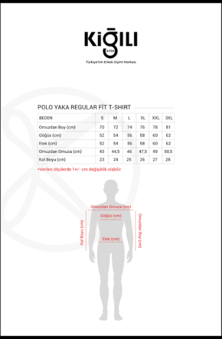 Polo Yaka Regular Fit Nakışlı Pamuklu Tişört