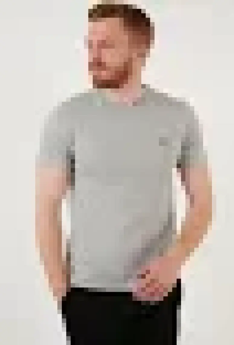 The Original Tee Cotton Gri Erkek Tişört
