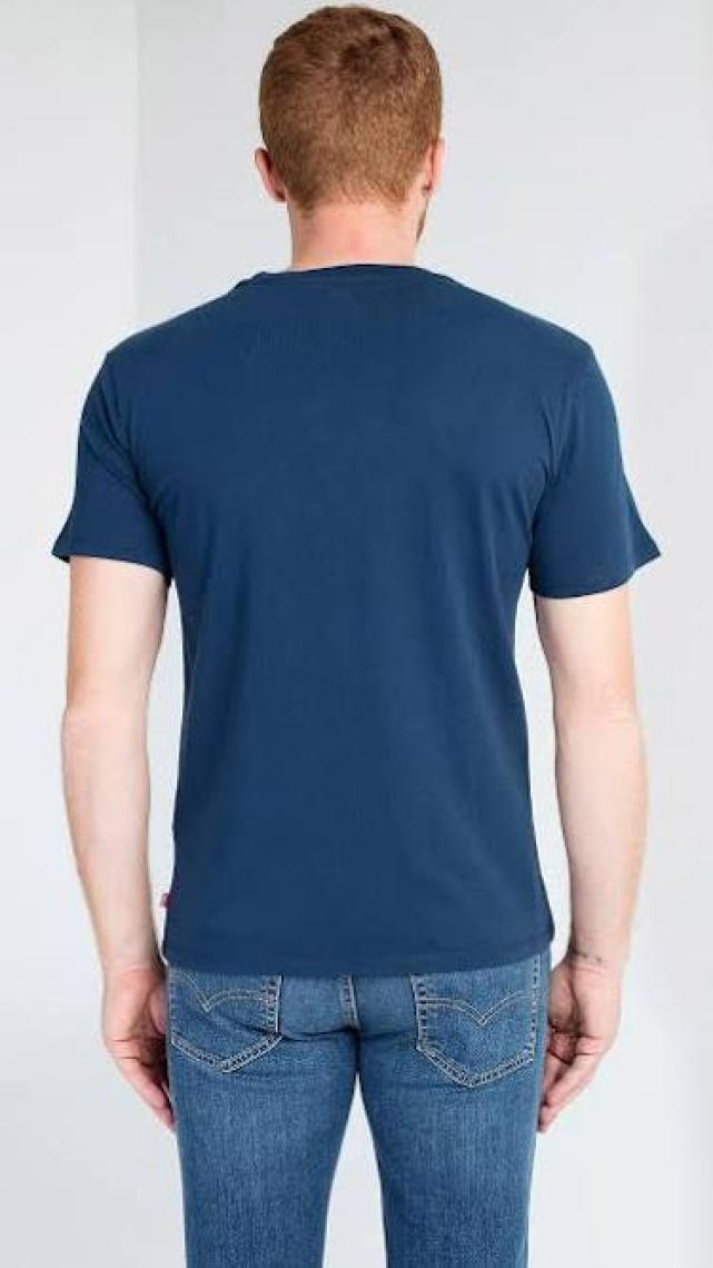 Graphic Set-In Neck Mavi Erkek Tişört